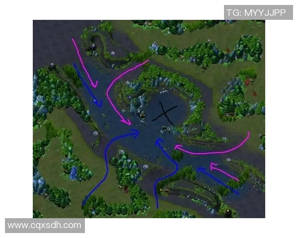 深度分析V5战队区域防守策略及其在比赛中的应用效果